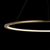 Светильник подвесной светодиодный LOFTIT Ring 10014L