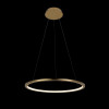 Светильник подвесной светодиодный Loft It Ring 10014M
