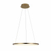 Светильник подвесной светодиодный Loft It Ring 10014M
