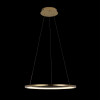 Светильник подвесной светодиодный Loft It Ring 10014M