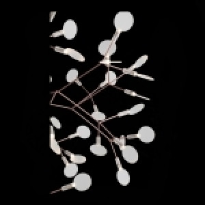 Подвесная светодиодная люстра ST Luce Rafina SL379.203.63 Подвесная светодиодная люстра ST Luce Rafina SL379.203.63