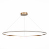 Подвесная светодиодная люстра St Luce OUT ST604.243.57