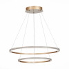 Подвесная светодиодная люстра St Luce OUT ST604.243.56