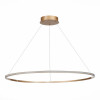Подвесная светодиодная люстра St Luce OUT ST604.243.46