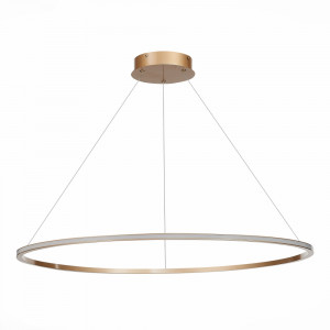 Подвесная светодиодная люстра St Luce OUT ST604.243.46