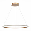 Подвесной светодиодный светильник St Luce OUT ST604.243.34