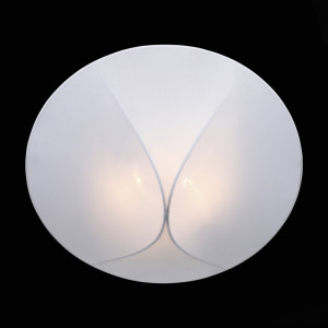 Накладной потолочный светильник ST Luce Tonico SL360.552.02