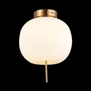 Светильник потолочный ST-Luce LACUS SL1621.202.01