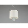 Подвесной светильник Aployt Mona APL.729.06.01