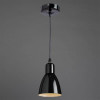 Подвесной светильник Arte Lamp 48 A5049SP-1BK