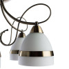 Потолочная люстра Arte Lamp 55 A6192PL-5AB