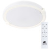 Потолочный светодиодный светильник с ПДУ Arte Lamp Biscotti A2679PL-72WH