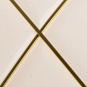 Потолочный светодиодный светильник с ПДУ Arte Lamp Biscotti A2677PL-72GO