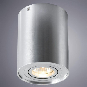 Потолочный светильник Arte Lamp A5644PL-1SI